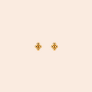Zia Studs