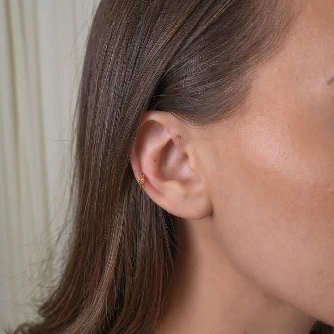 Zia Studs