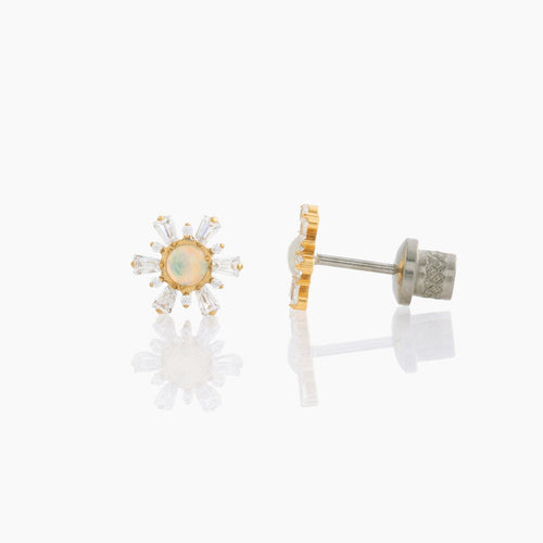 ||TLSNorabtflyG+TLSNorascrG